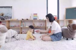 (6分钟科普下)林芝商贸有限公司_哔哩哔哩-2